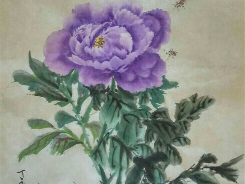中国齐派第四代传人张瑞深老师牡丹作品《紫气东来》